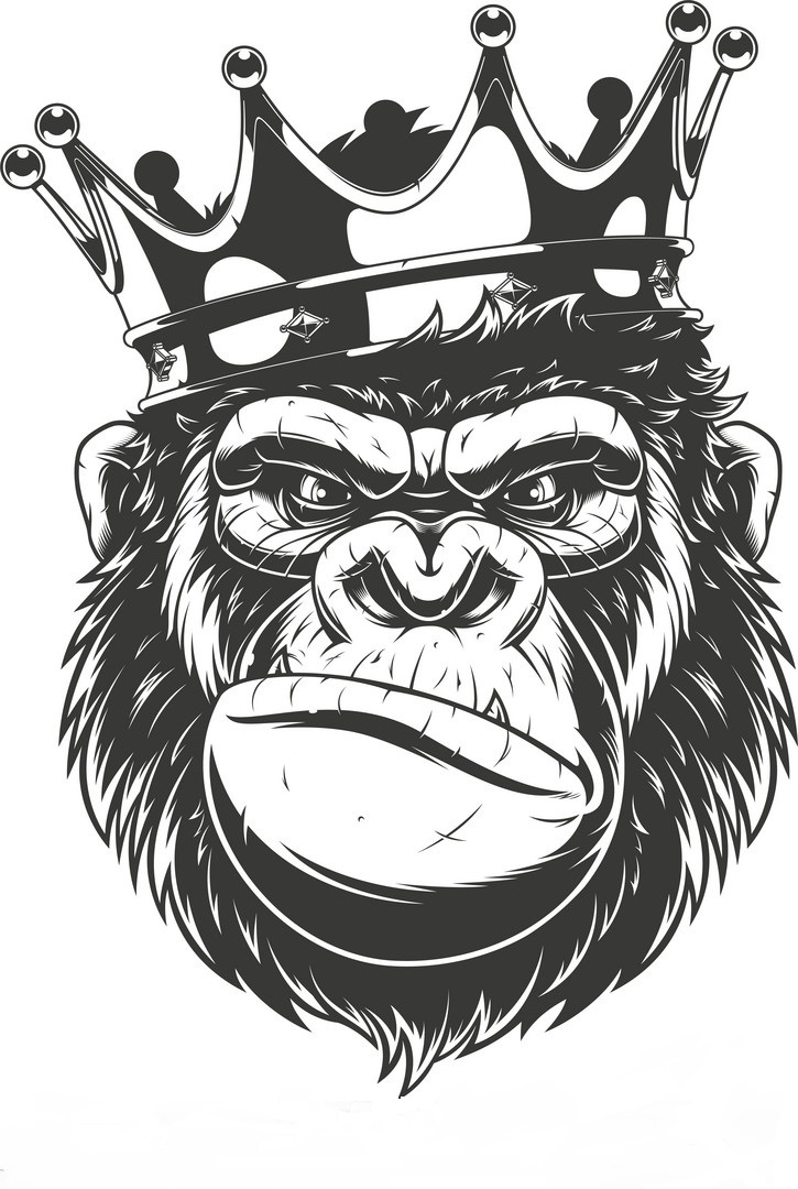 Monkey Club FX